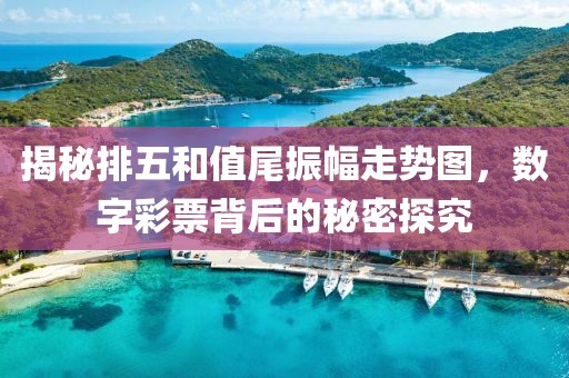 揭秘排五和值尾振幅走势图，数字彩票背后的秘密探究