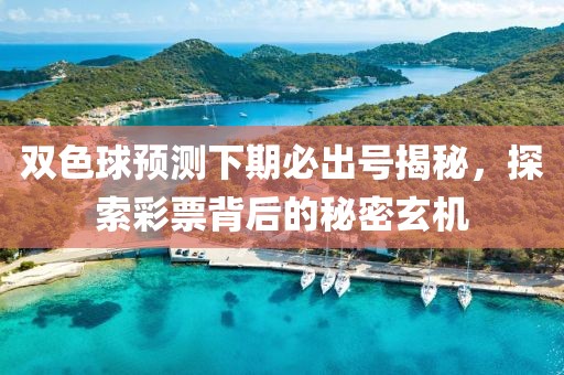 双色球预测下期必出号揭秘，探索彩票背后的秘密玄机