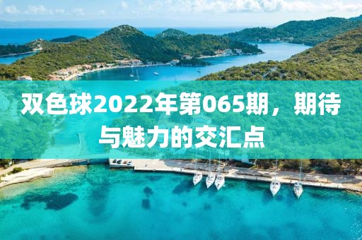 双色球2022年第065期，期待与魅力的交汇点