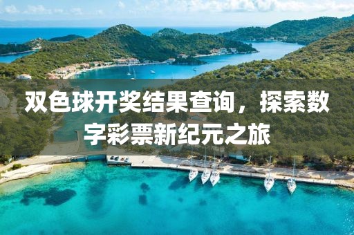 双色球开奖结果查询，探索数字彩票新纪元之旅