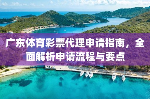 广东体育彩票代理申请指南，全面解析申请流程与要点